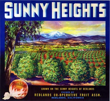 Sunny Heights